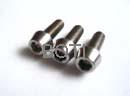 Titanium fastener