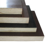 Concrete Form Plywood from CHINA