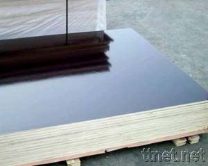 Black Film faced Plywood