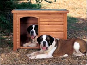 pet house