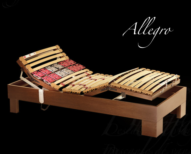 Allegro electric bed-Defacio sl