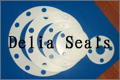 PTFE Gaskets