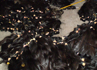 human hair, bulk hair,remy hair