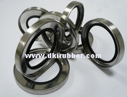 PTFE Shaft Seal