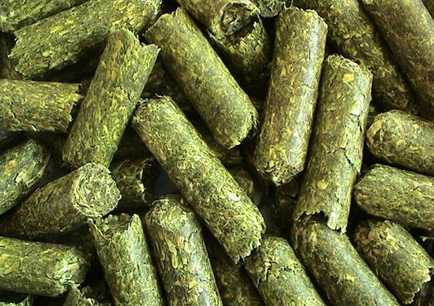 alfalfa pellets 