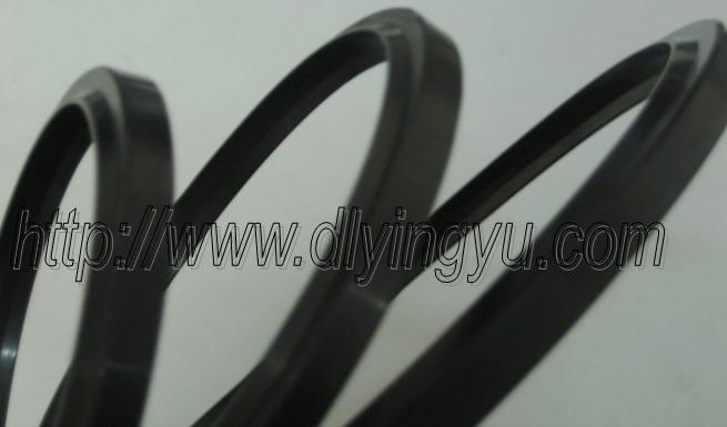 DH wiper seal