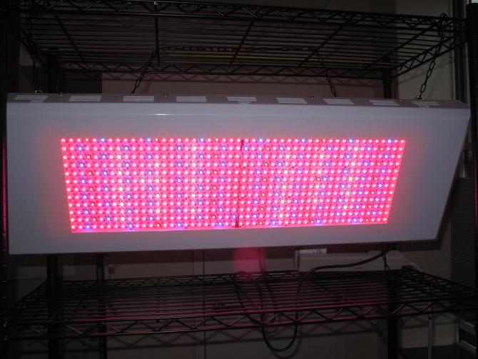 led grow light 600W