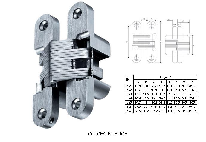 Concealed hinge