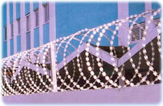 razor barbed wire