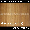 natural teak fancy plywood