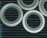 spiral wound gasket