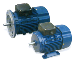 MC SERIES SINGLE-PHASE MOTOR