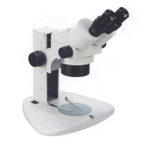 Inclined Stereo Microscope