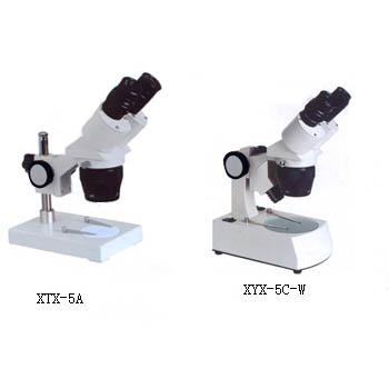 Digital Microscope