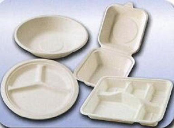 Biodegradable Disposable Bagasse Tableware