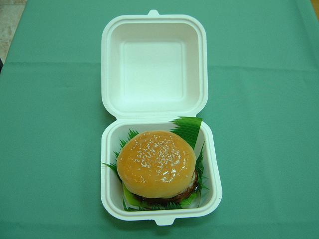 Biodegradable Disposable Bagasse Food Container