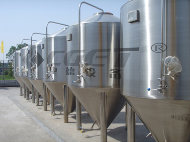 2T fermenter