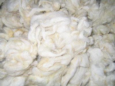 White Wool (scoured) tannery or clipped