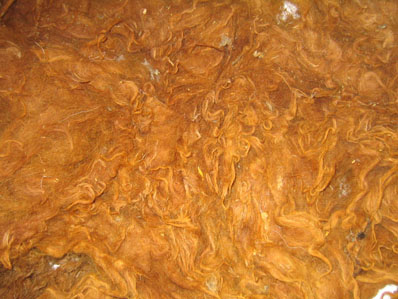 Colored wool (scoured) tannery or clipped