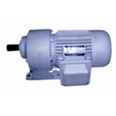 GT Series Three Phase Gear Motor