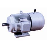 YEJ Series Three Phase Brake Motor