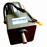 DM Series Gear Motor