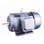 Y SERIES THREE PHASE MOTOR