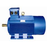 Y2 Series Three Phase Motor