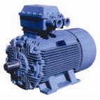 YB Series Three Phase Explosion-proof Motor 