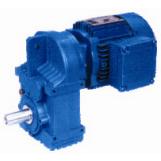 Parallel shaft Oblique gear motor