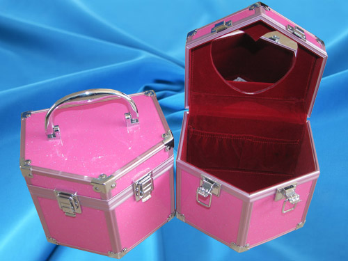 cosmetic case