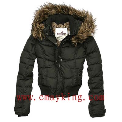 Hollister Crescent Bay Parka  $43