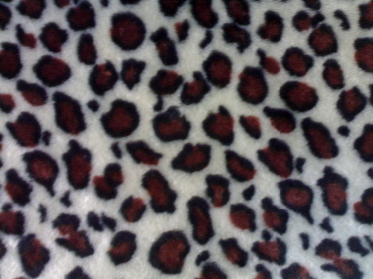 leopard Print Faux Fur