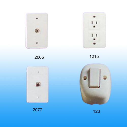 Wall Switch and Wall Socket