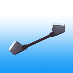 Scart Cable