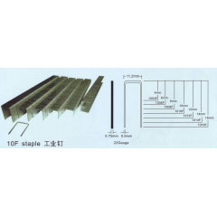 Staple Nail, 10F Staple Series