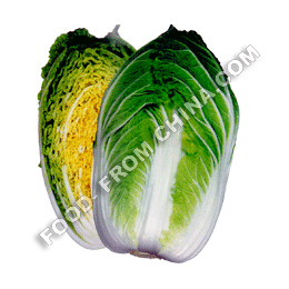 Chinese cabbage