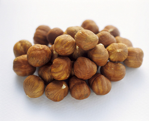 Organic Hazelnut Kernels