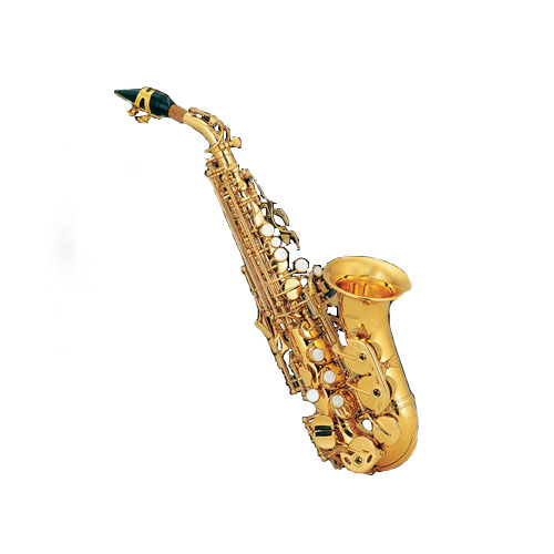 small curved soprano saxophone