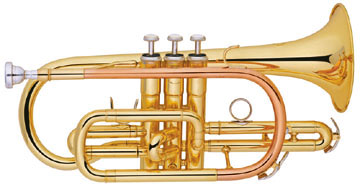 bB/Cornet