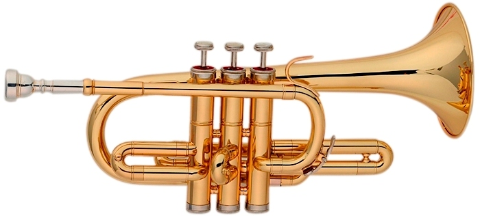 Bb/ Children trumpet