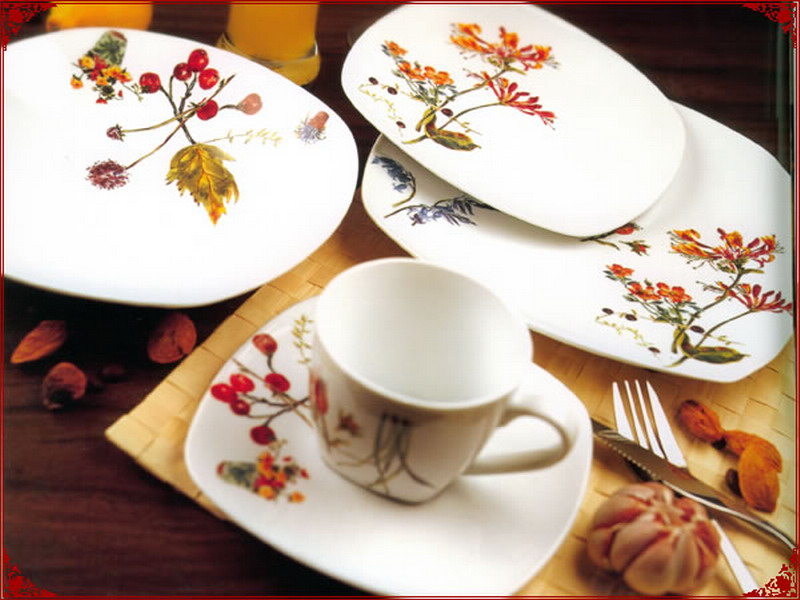  Ceramic  or Porcelain  Dinnerset 