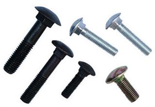 Carriage Bolt