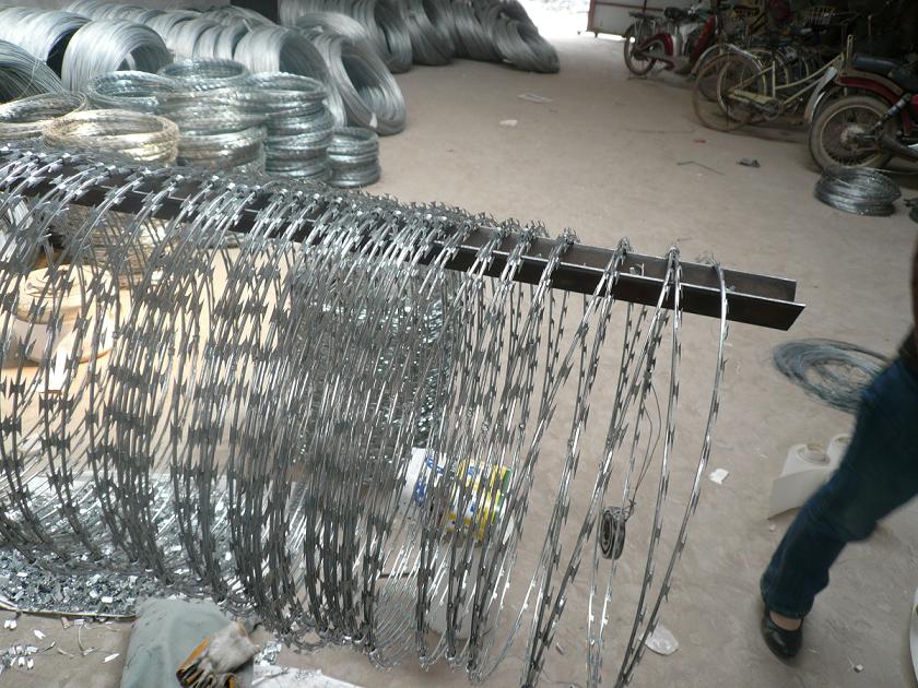 concertina single razor wire