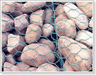 Heavy Hexagonal Mesh 