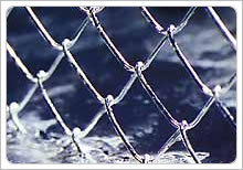 Chain Link Fencing 