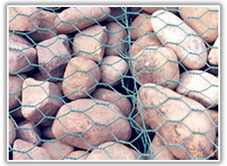 Stone Cage Wire Mesh