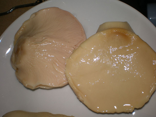 Canned Oyster Mushrooms