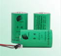 FORTE,FORTE BATTERY,FORTE LITHIUM BATTERY