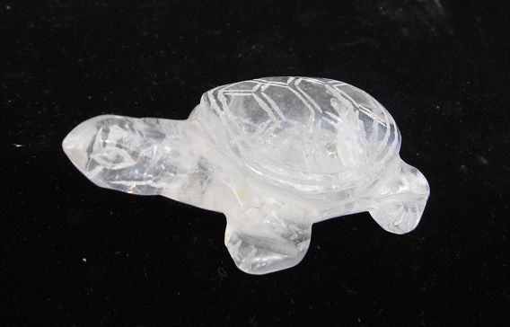 Crystal Tortoise